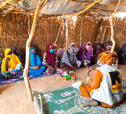 Niger women support group EU-funded