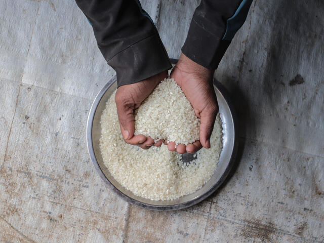 Close up shot of hands holding rice