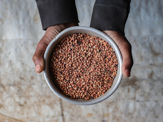 Close up shot of hands holding a bowl of lentils