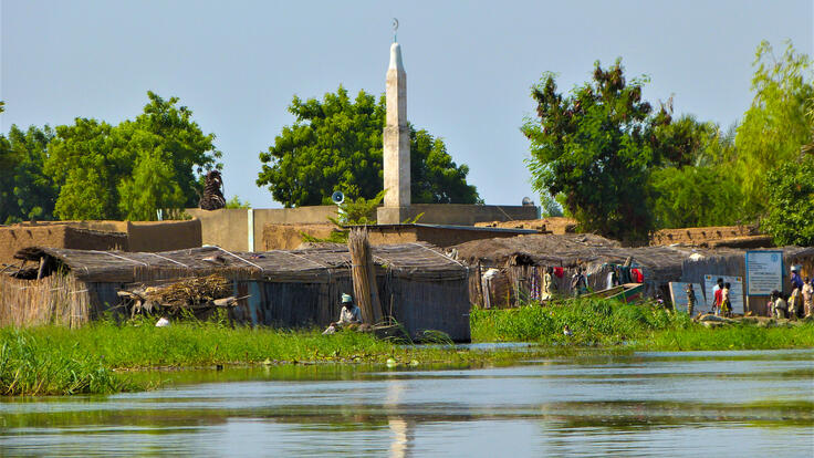 Landscape of Lake Chad area